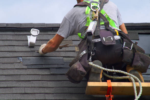 Best Gutter Installation and Roofing  in Latimer, MS
